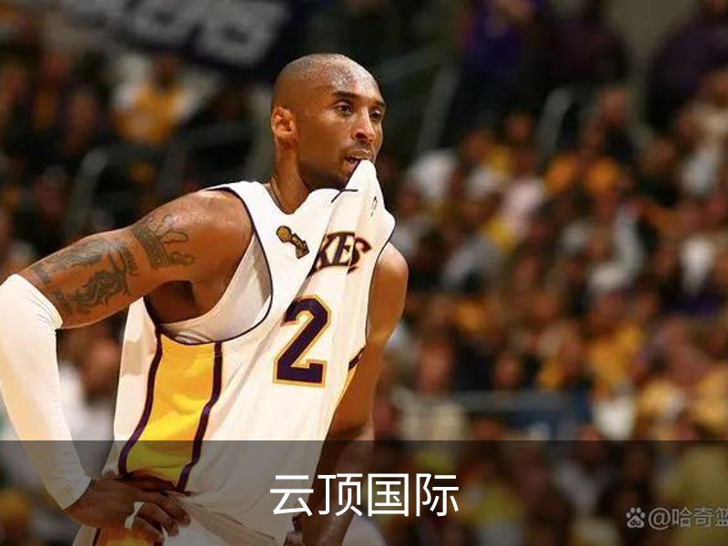 云顶国际介绍